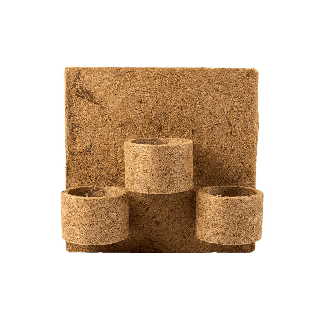 Placas Modulares