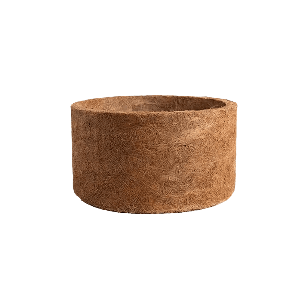 Vaso Clássico